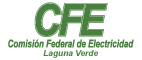 logo-cfe-01